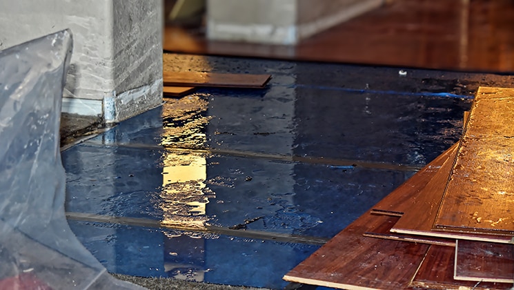 Water intrusion in construction: Understanding risks, identifying solutions