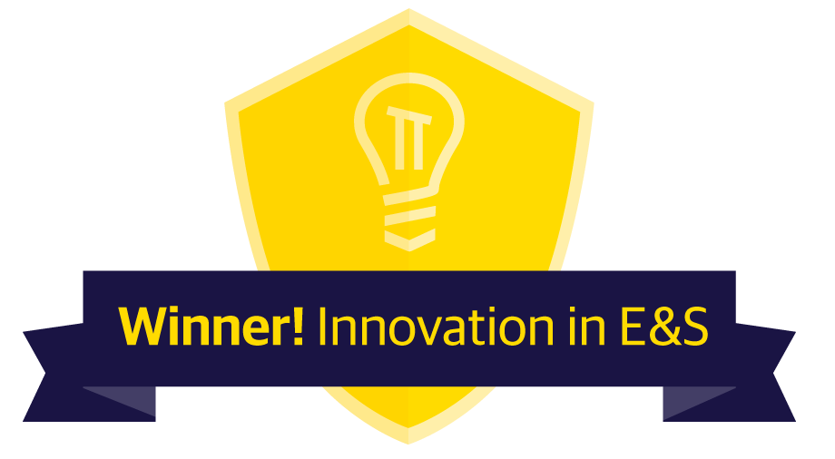 Winner - Innovation in E+S